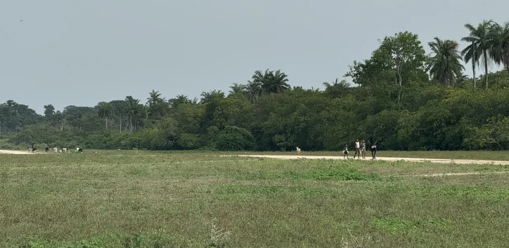 Vue aérienne de l'infrastructure de Bubaque Airport