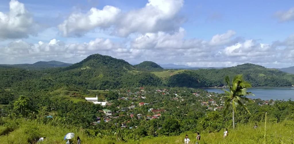 Aerial view of Jose Panganiban (Larap) Airstrip airport infrastructure