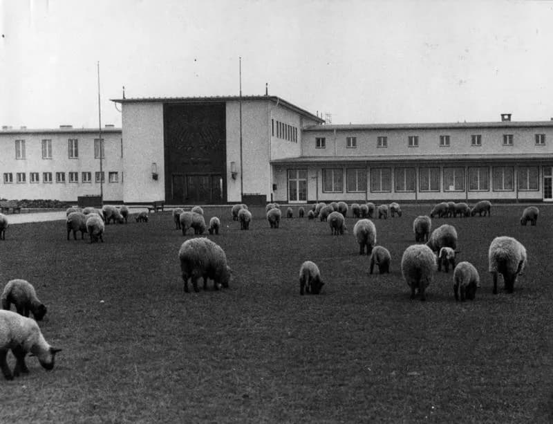 Luftaufnahme der Infrastruktur von Cologne Butzweilerhof Airport