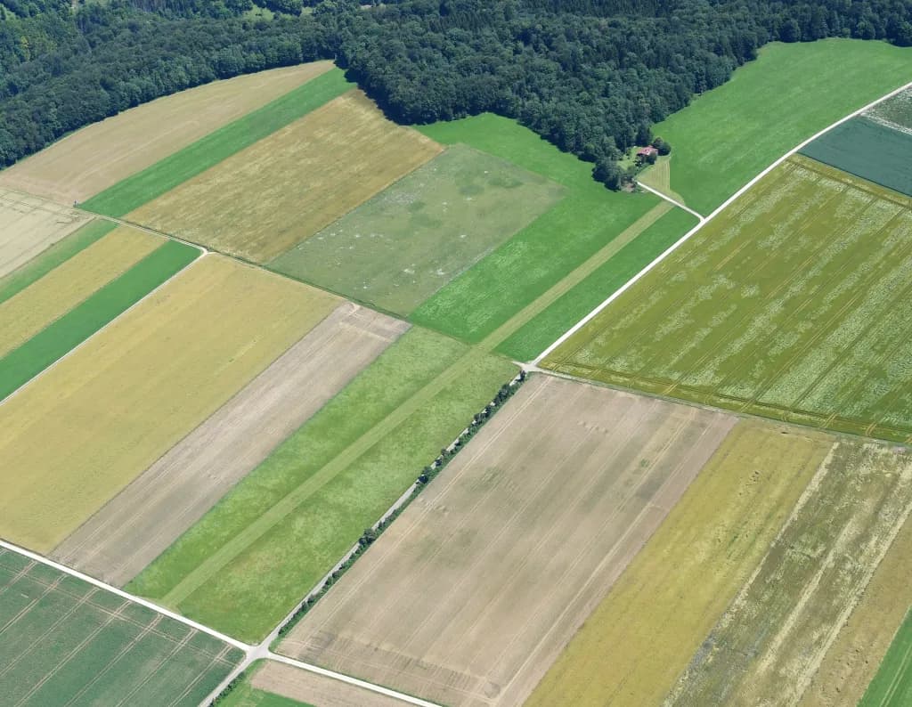 Luftaufnahme der Infrastruktur von Seißen Ultralight Airfield