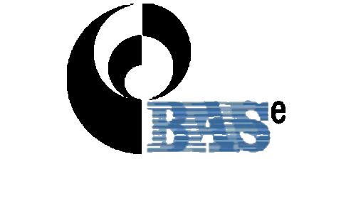 Logo Budapest Aircraft Service