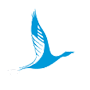 Logo Legend Airlines